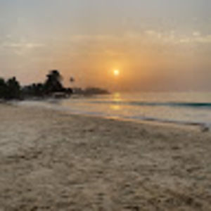 Meet your Posher, Isha